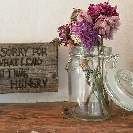 Rauriser Bergchalet Dom wakacyjny Rauris